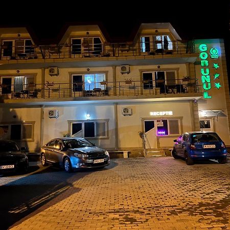 Hotel Gorunul Hunedoara Exterior photo